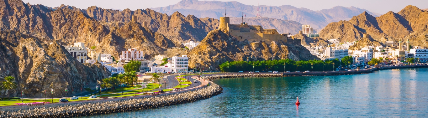 Cruise Midden-Oosten bij Stip Reizen